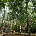 Children playing on an adventure trail at Gosford Forest Park.