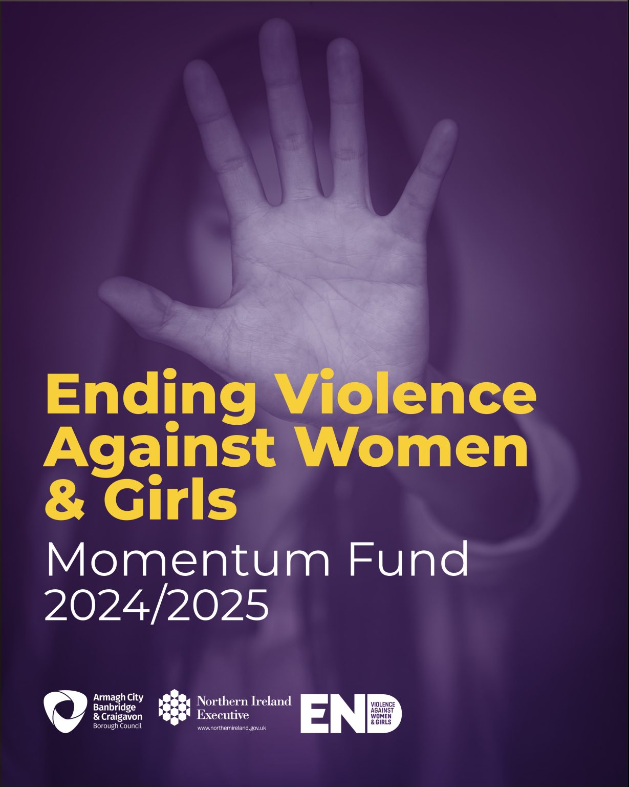 Ending Violence Against Women and Girls Momentum Fund – Expression of ...