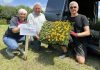 Harry and Normal from Magheralin Gardening Team pick up the flowers for their village from Leanne McShane (ABC Council).