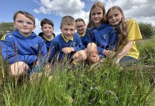 Pupils from St Mary’s PS pictured at their environmental survey.