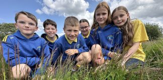 Pupils from St Mary’s PS pictured at their environmental survey.
