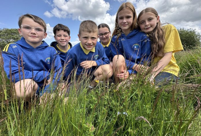 Maghery wild meadow 4 Pupils from St Mary’s PS pictured at their environmental survey.