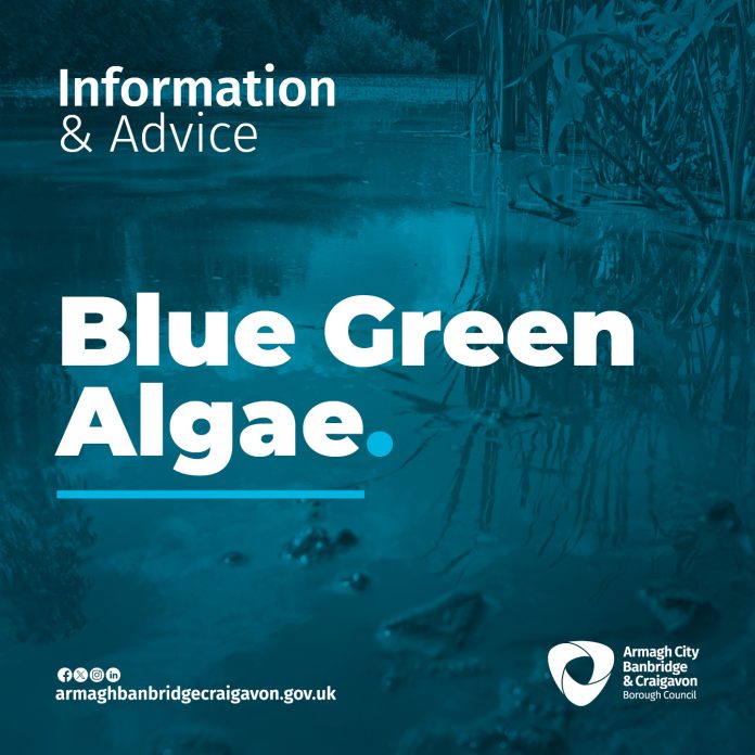 5142. ABC BLUE GREEN ALGAE FB POST 2025