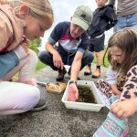 Children get a close look at some of the bugs living in the wetlands at Oxford Island