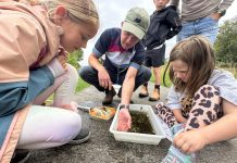 Children get a close look at some of the bugs living in the wetlands at Oxford Island