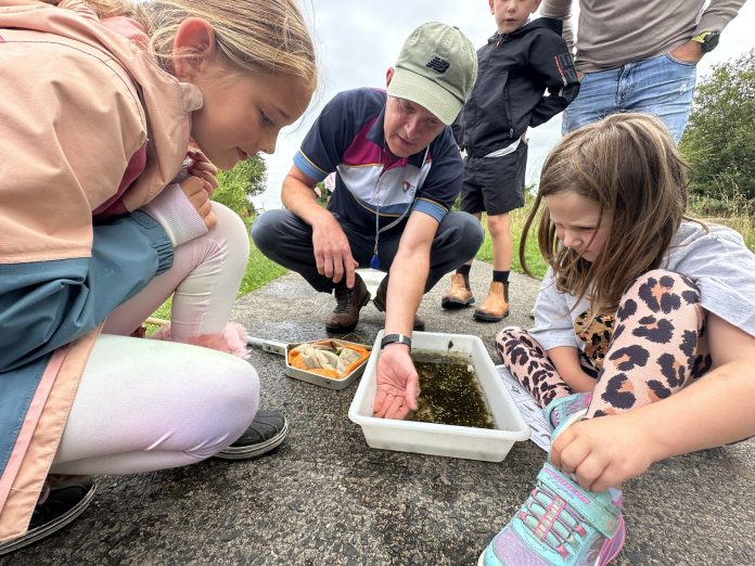 Children get a close look at some of the bugs living in the wetlands at Oxford Island