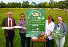 Four people standing in a field with food and a sign saying Lamb and Local.