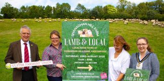 Four people standing in a field with food and a sign saying Lamb and Local.