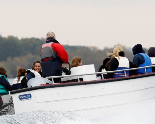 Wheelieboat
