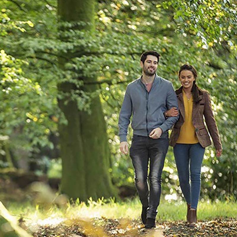 Autumn Walks