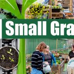 Live Here Love Here funding for groups across ABC Borough Live Here Love Here Small Grants