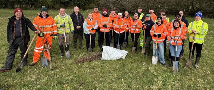 April 2026 Tree Planting (3) ABC Council staff along with volunteers from the Department for Infrastructure (DfI) Rivers, Amey and The Conservation Volunteers planted 500 native trees.