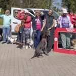 Dogs go for dander as scoop bag scheme launched in Portadown Armagh City, Banbridge & Craigavon (ABC) Borough Council have joined forces with the charity Rosie’s Trust for the pilot project which involves five dog waste bag dispensers installed in council-run parks.