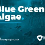 Advice on Blue Green Algae