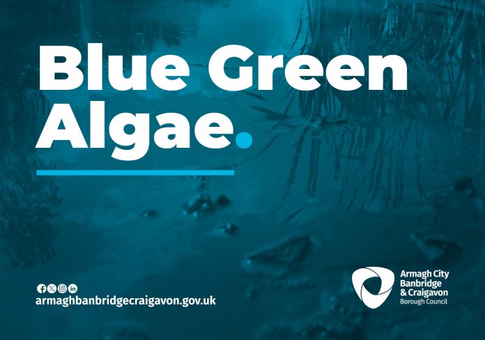 5142.-ABC-BLUE-GREEN-ALGAE-FB-POST-2025 Advice on Blue Green Algae