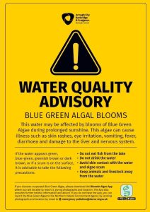 Blue Green Algae warning sign.