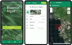 Bloomin Algae App