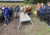 Officers from ABC Council played host to a delegation from the National Parks & Wildlife Service in Ireland, who were keen to learn more about the Moiled cattle’s role in biodiversity.