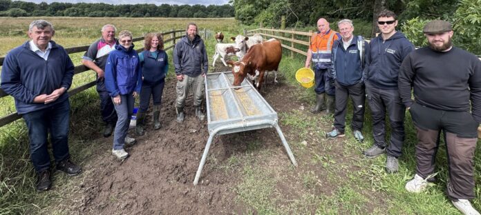 Moiled cattle visit 1 Officers from ABC Council played host to a delegation from the National Parks & Wildlife Service in Ireland, who were keen to learn more about the Moiled cattle’s role in biodiversity.