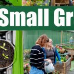 Small Grants to make big impact for environmental projects Live Here Love Here Small Grants Scheme.