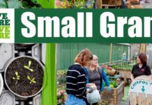 Small Grants to make big impact for environmental projects Live Here Love Here Small Grants Scheme.