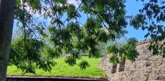 Navan Centre & Fort Seeks Catering Provider to Enhance Visitor Experience